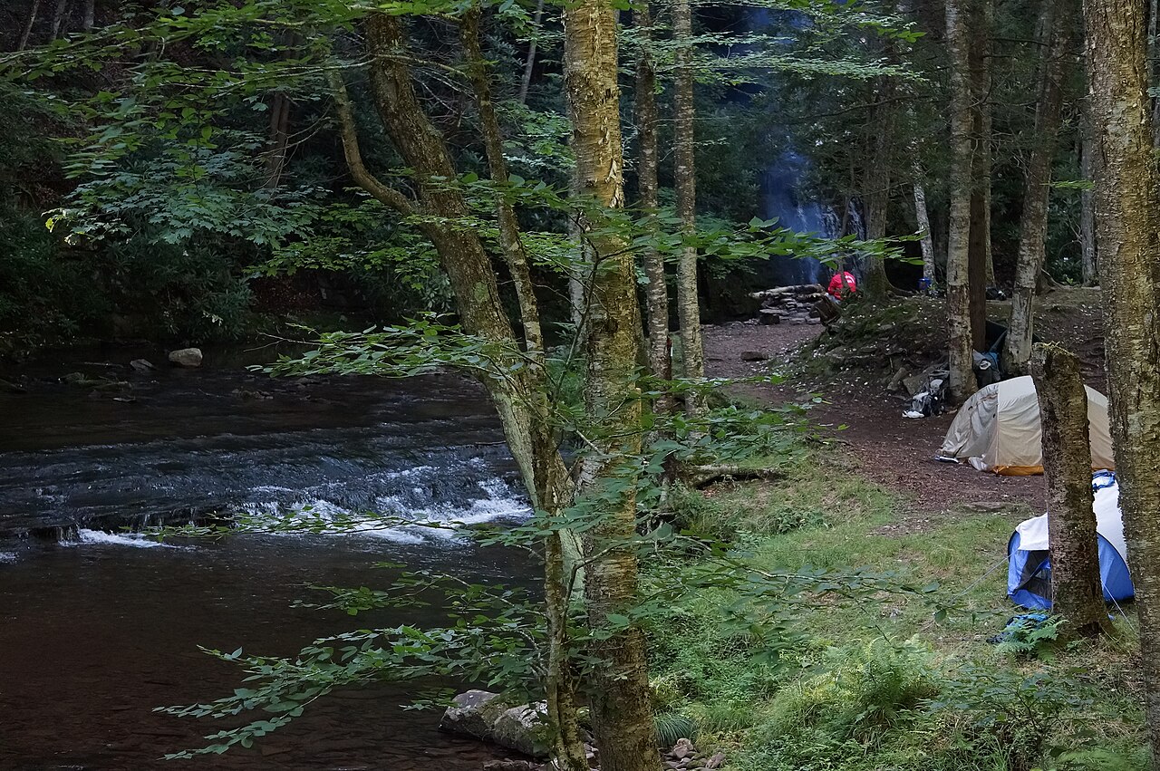 Camping in monongahela national forest West Virginia - 2, illustrative photo