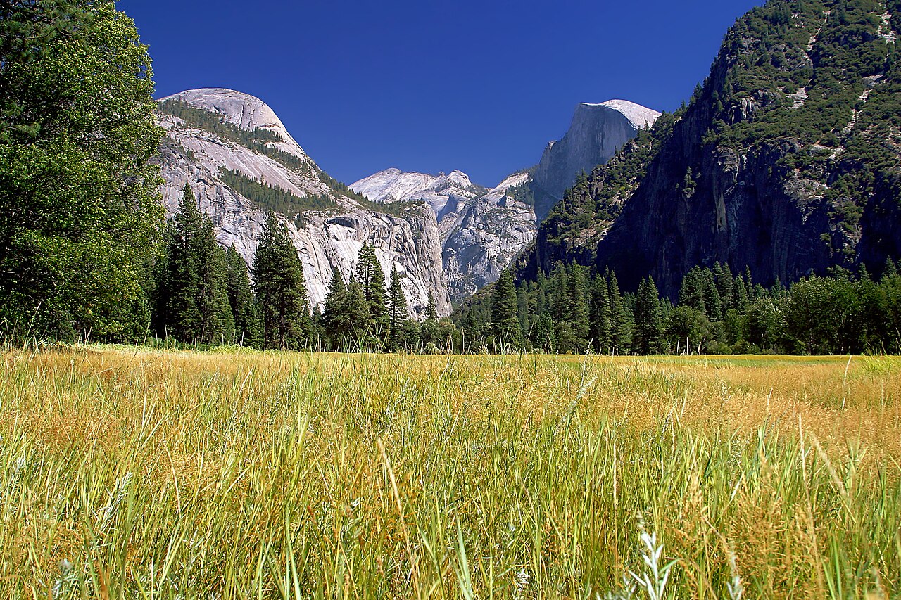 Yosemite meadows 2004-09-04, illustrative activity photo