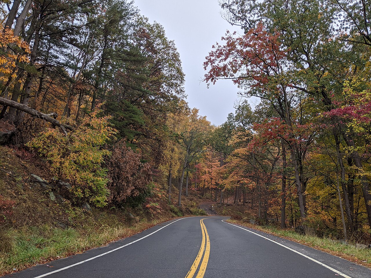 Bear Mountain Autumn, illustrative activity photo