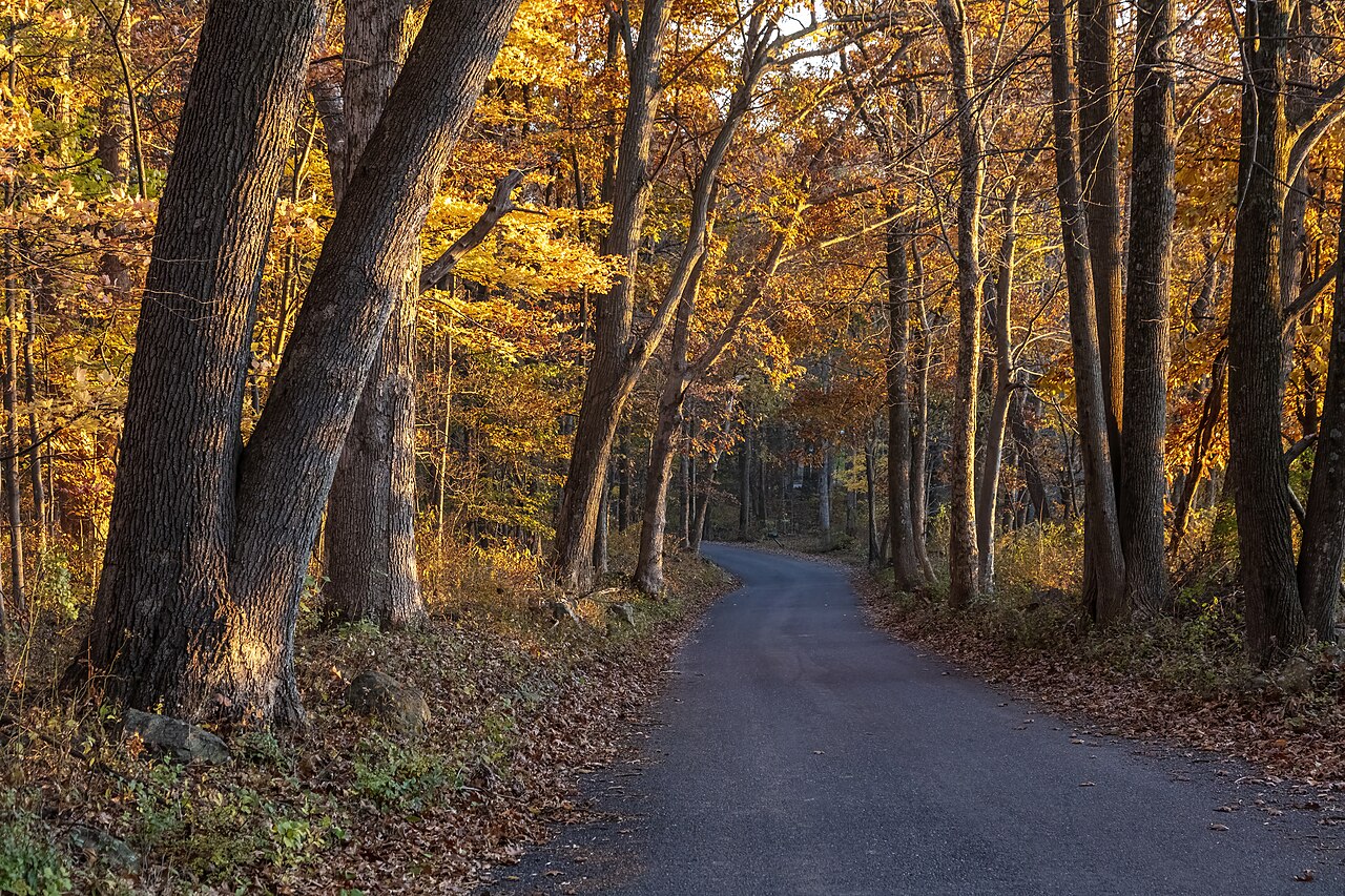 Tower Road Catoctin Mountain MD1, illustrative activity photo