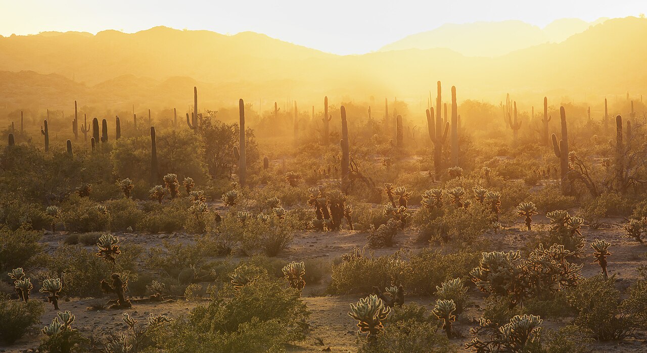 BLM Winter Bucket List -27- Sonoran Desert National Monument, Arizona, for Day Hikes Among the Saguaro (16367502541) — illustrative photo, not partner inventory