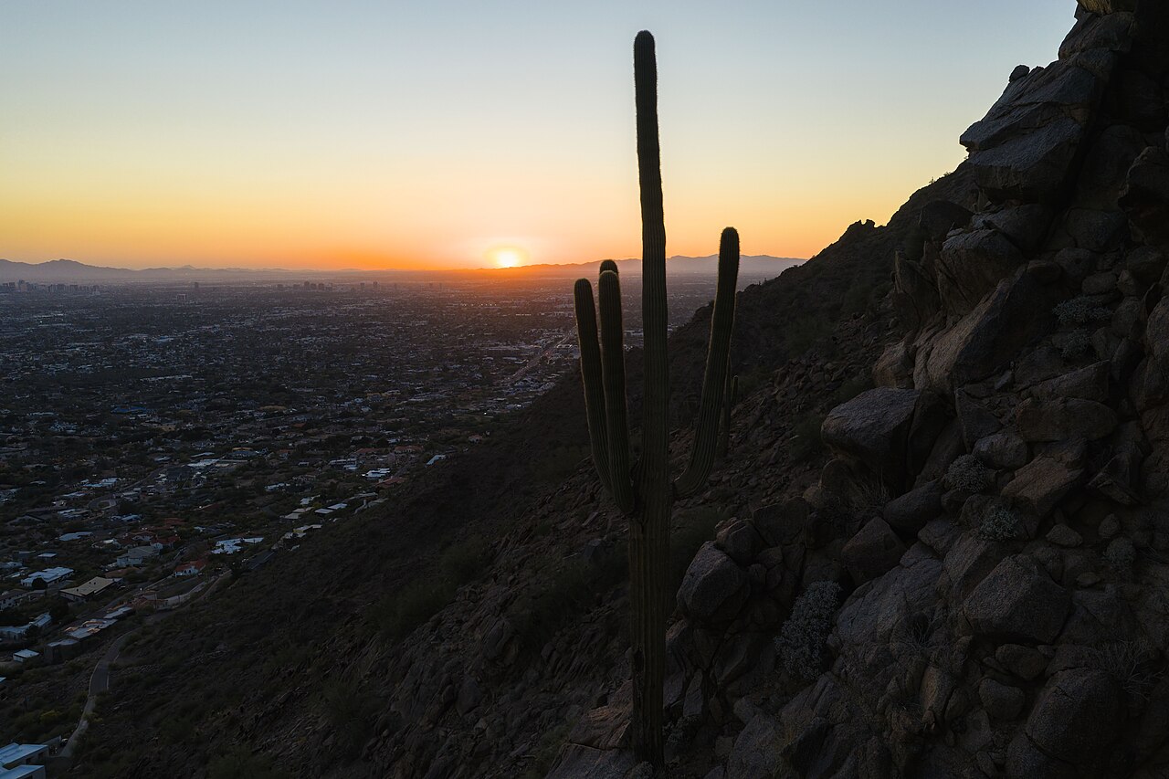 Saguaro cactus on Camelback Mountain, illustrative activity photo