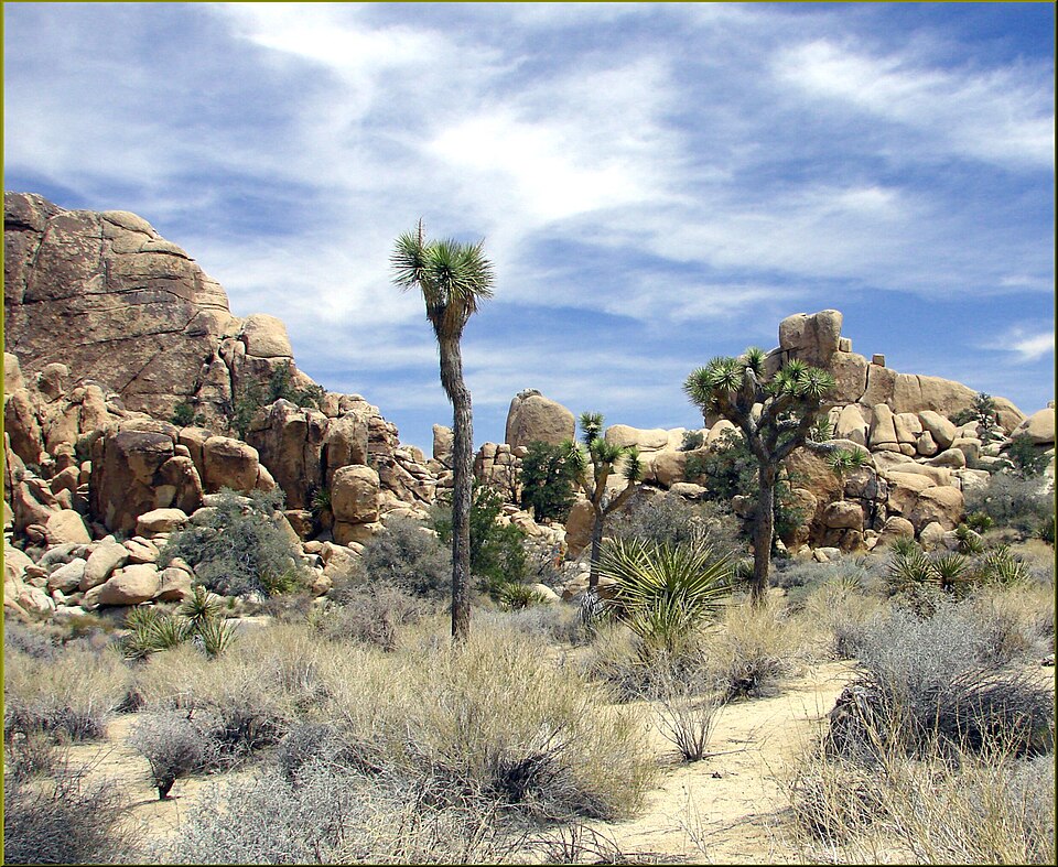 Hidden Valley, Joshua Tree NP 4-13-13l (8689099921) — illustrative photo, not partner inventory