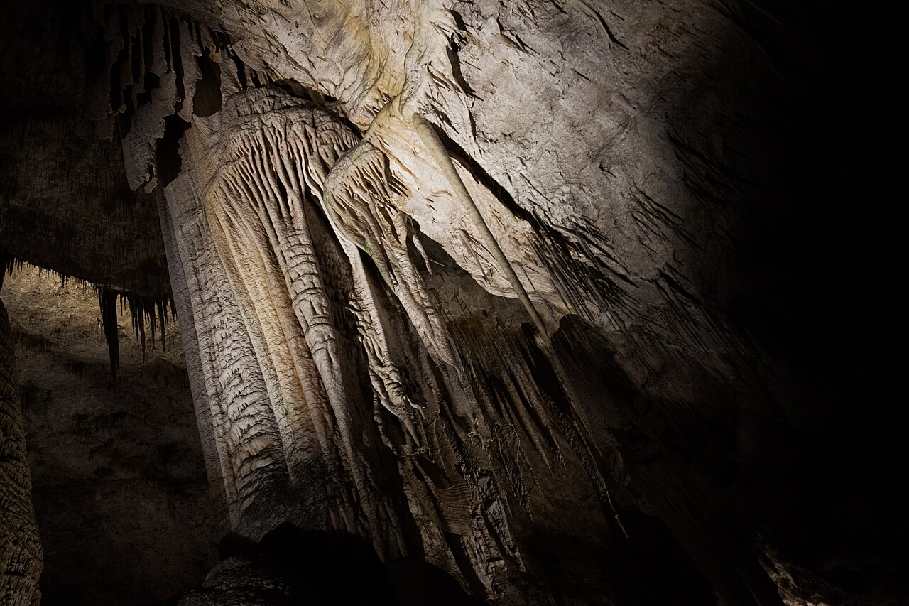 Carlsbad Caverns National Park and White's City, New Mexico, USA - 48345187006, illustrative activity photo