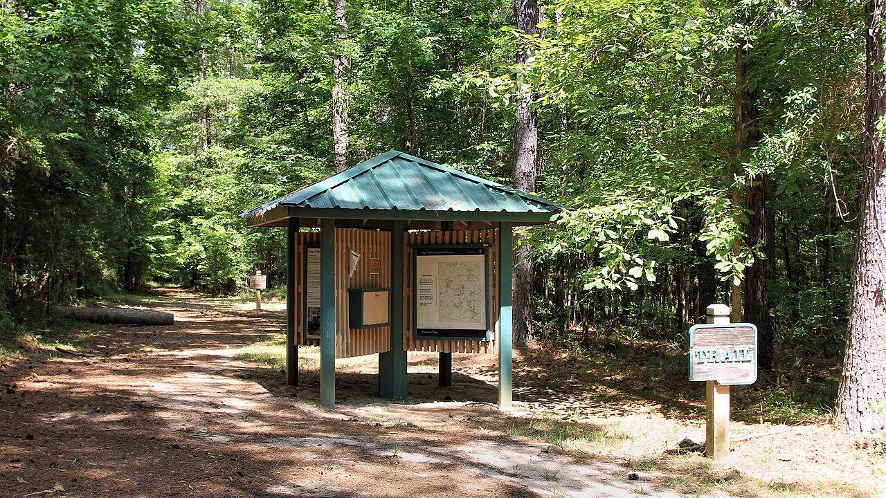 Woodlands Trail Trailhead Big Thicket National Preserve Texas 2022, illustrative photo