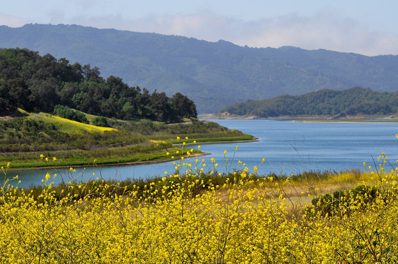 Lake Casitas - panoramio, illustrative activity photo