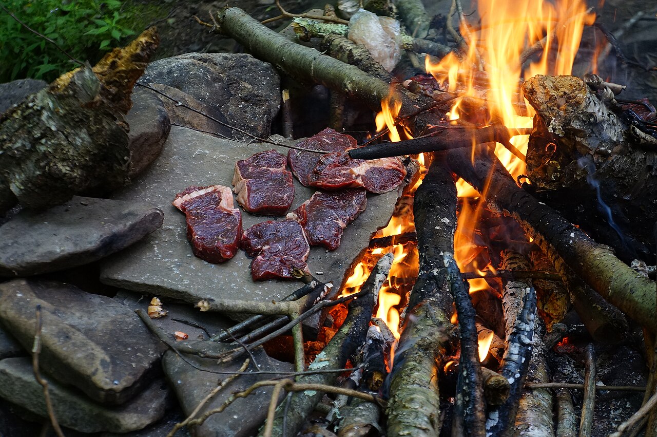 Camping in monongahela national forest West Virginia - 3, illustrative photo