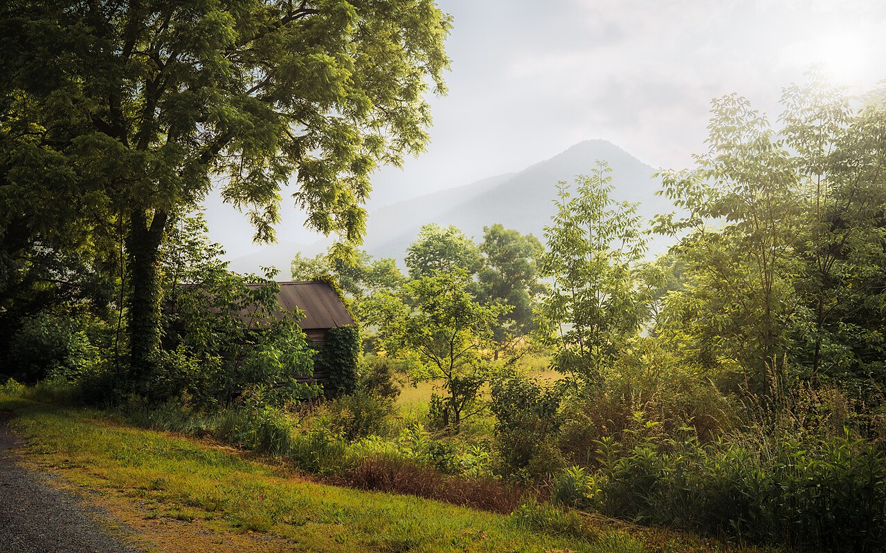 Sunrise Near Seneca Rocks (52983748127), illustrative activity photo