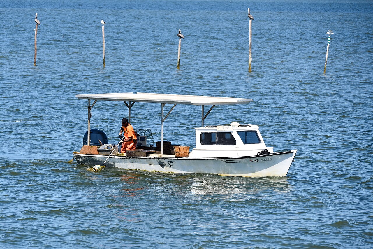 2021-06-27 02 Chesapeake Bay deadrise workboat used for crabbing, illustrative activity photo