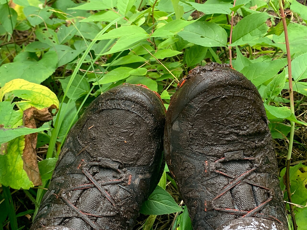 Muddy Boots - Isle Royale National Park Backpacking Trip (53075677106), illustrative activity photo