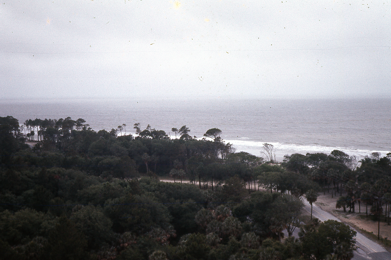 View of Hunting Island State Park from Hunting Island Lighthouse in 1972, illustrative activity photo