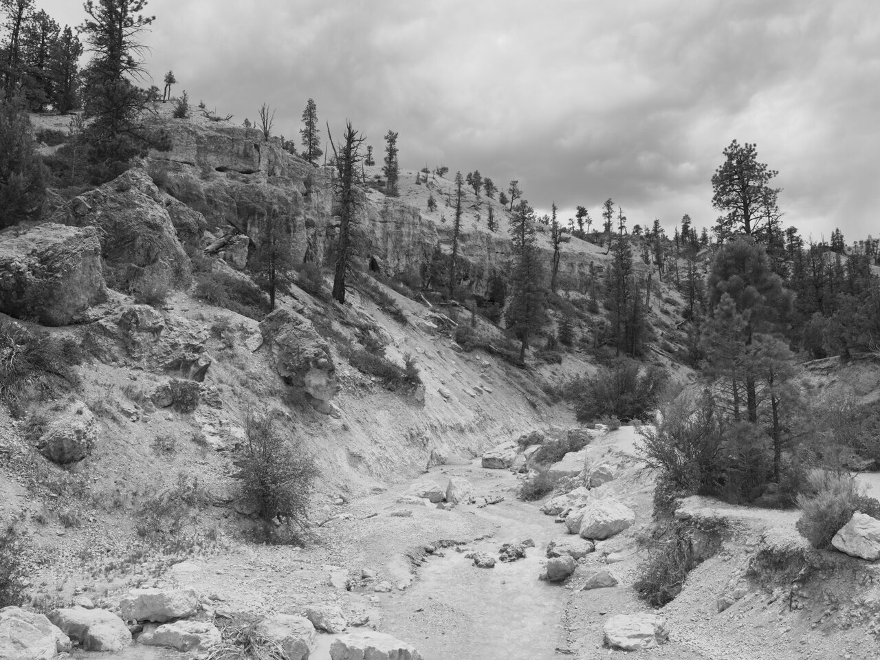 Public Lands Institute - Bryce Canyon National Park - 014, illustrative activity photo