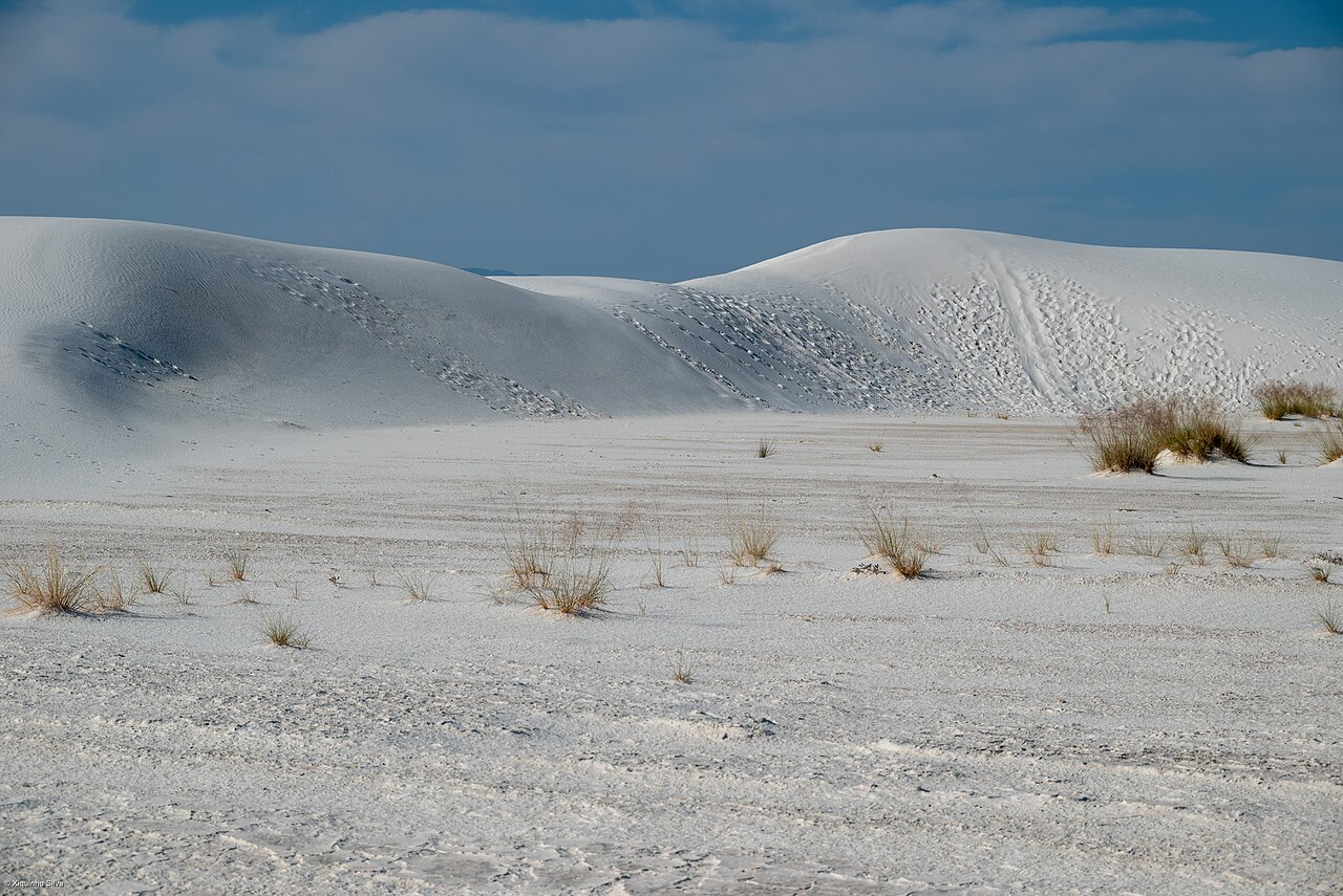 White Sands National Park - 55459537455, illustrative activity photo