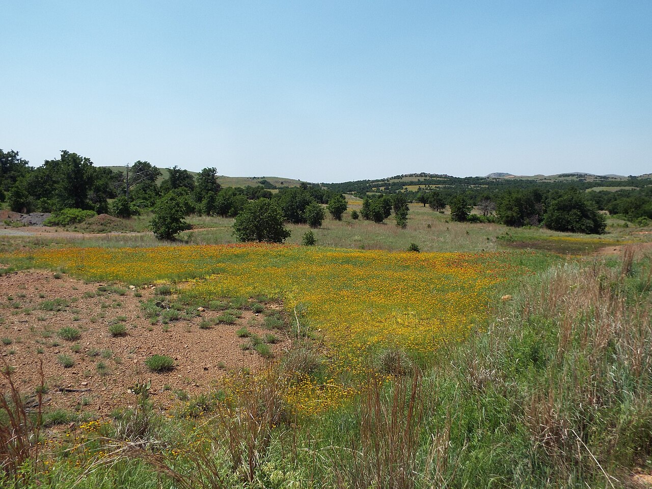 Wichita Mountains Wildlife Refuge, May 14, 2022 - 52074371604, illustrative photo
