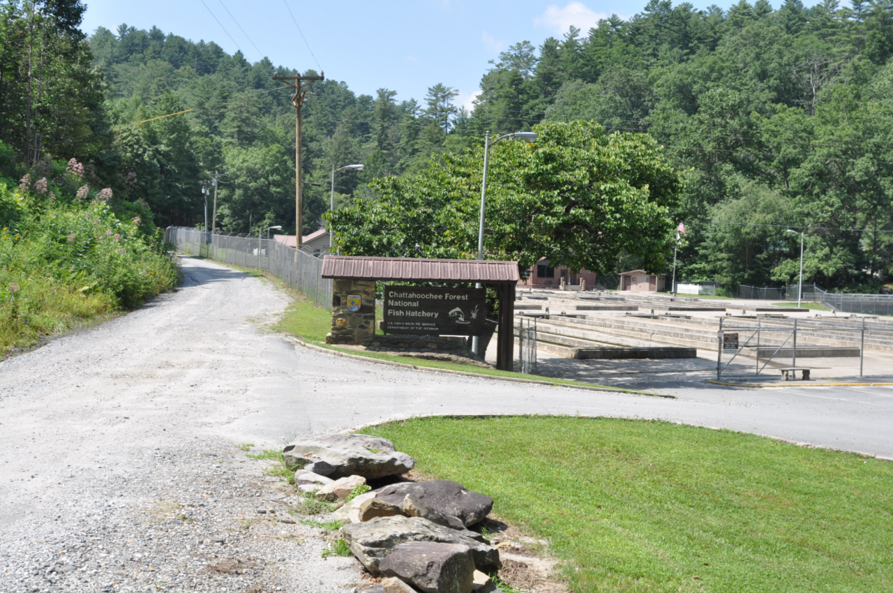 Chattahoochee Forest NFH entrance, illustrative activity photo