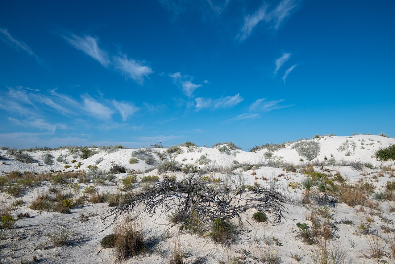 White Sands National Park - 55459239108, illustrative activity photo