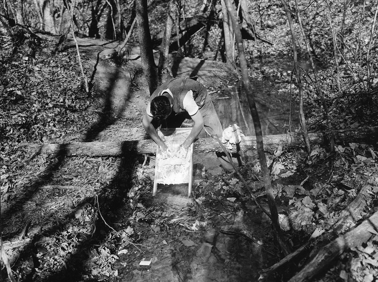 Wash day at Camp Roosevelt, George Washington National Forest, Virginia (3226977352), illustrative photo