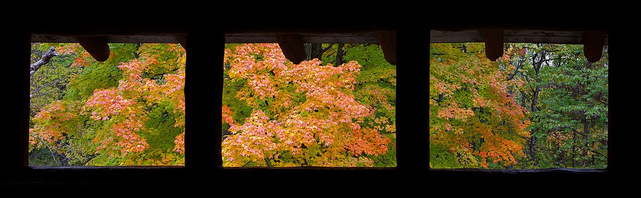 Vista desde la torre de observación, Parque Estatal Brown County, Indiana, Estados Unidos, 2012-10-14, DD 07, illustrative activity photo