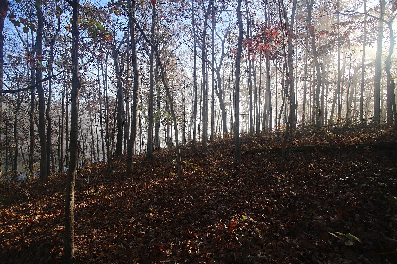 Mark Twain National Forest (30195674503), illustrative activity photo