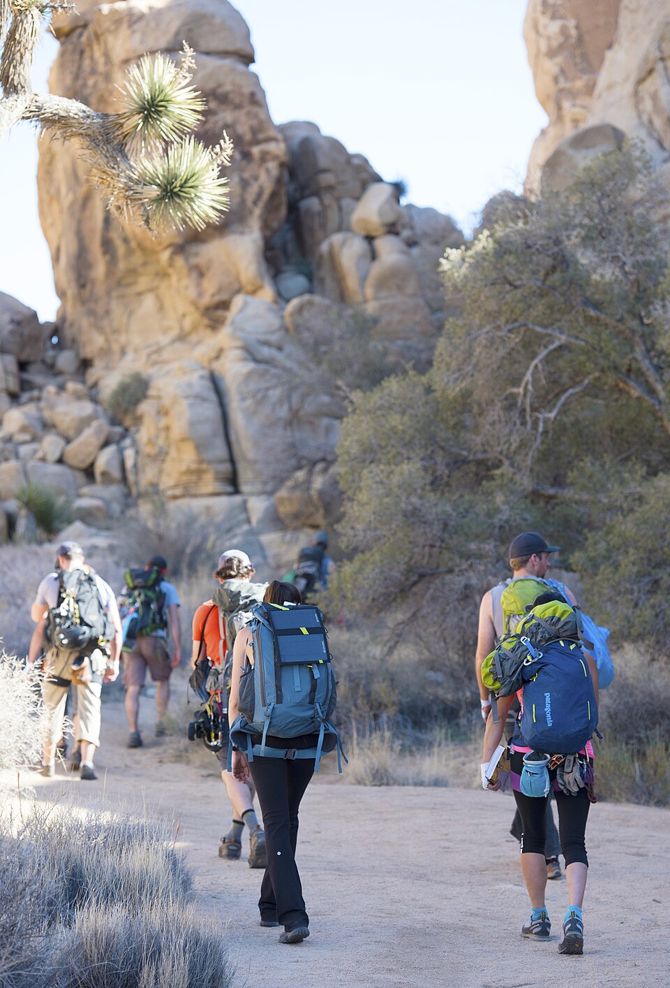 Hiking to a Climbing Route at Joshua Tree National Park, illustrative activity photo