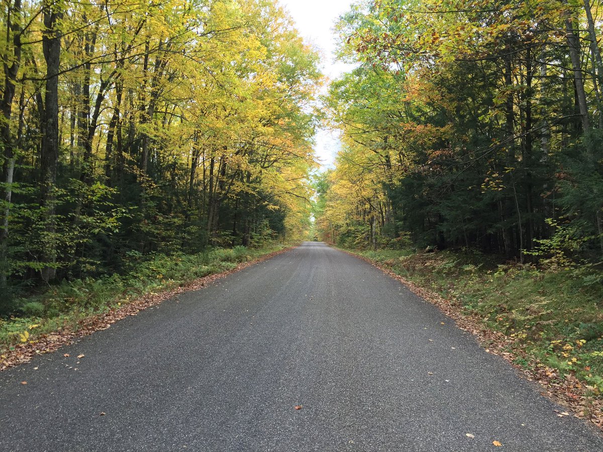 Path - Chequamegon-Nicolet National Forest - Oct 2017, illustrative photo