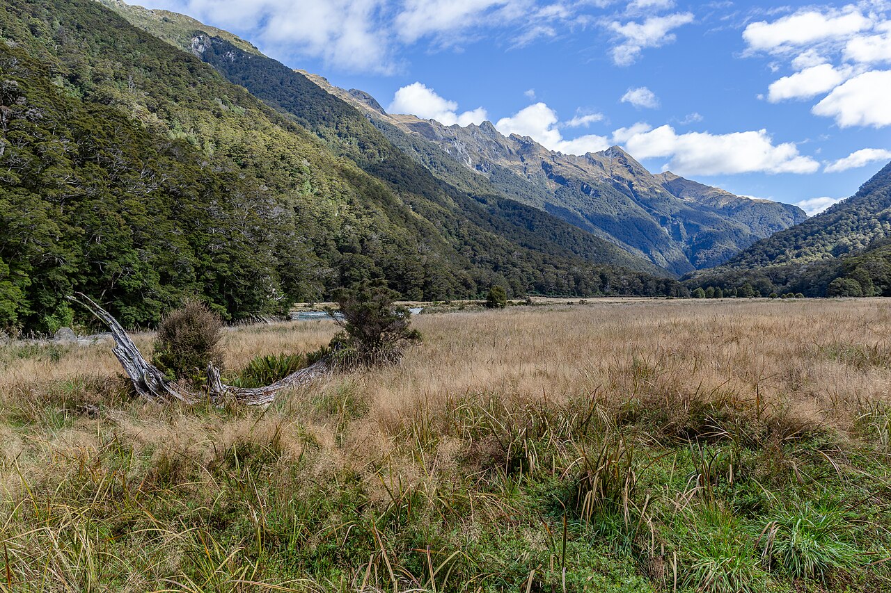 Young River Valley, New Zealand 05, illustrative activity photo