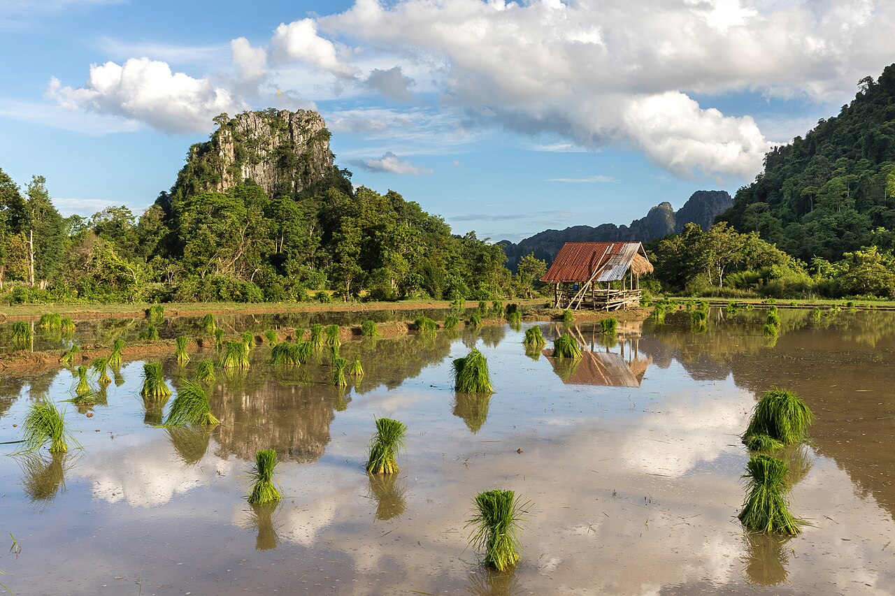 Water reflection of mountains, hut, green rice sheaves scattered in a paddy field and clouds with blue sky in Vang Vieng, Laos, illustrative activity photo