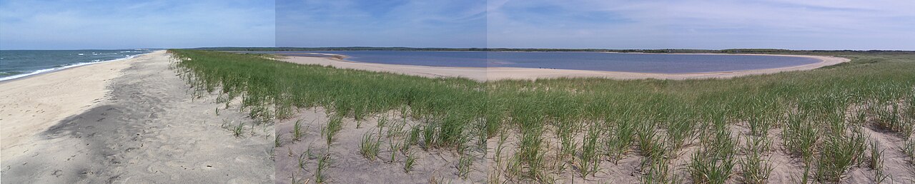Long Point Wildlife Refuge Tisbury Great Pond Marthas Vineyard June 2021, illustrative activity photo