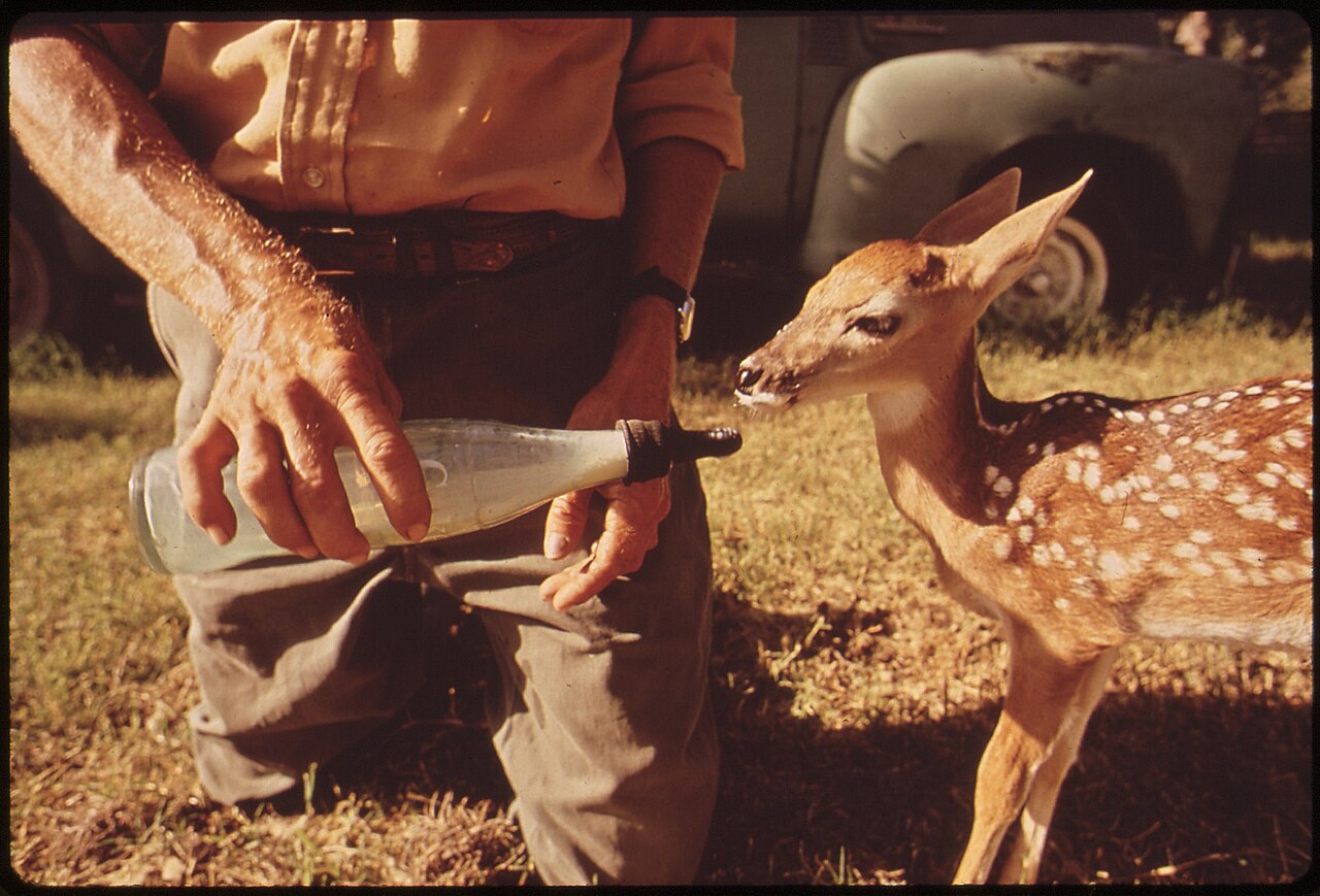 GARNER STATE PARK - NARA - 546218, illustrative activity photo