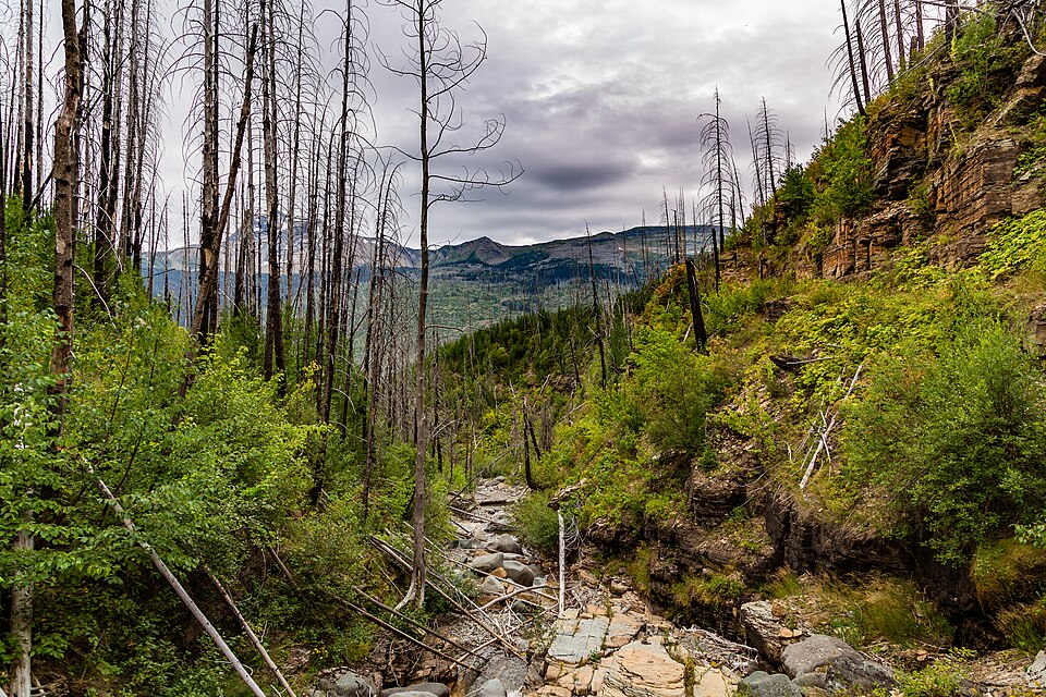 Granite Park Trail at Crystal Point, Glacier National Park, Montana (39795229124), illustrative activity photo