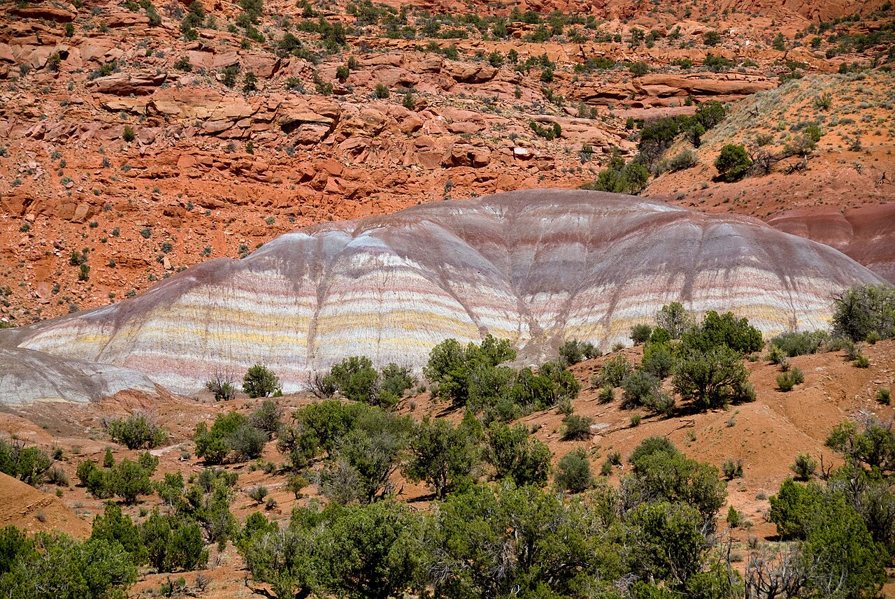 Vermilion Cliffs? (3568607726), illustrative activity photo