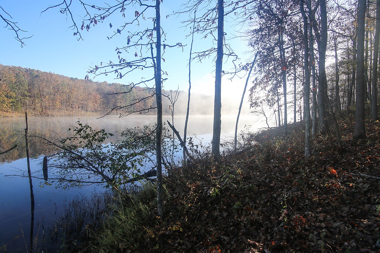 Mark Twain National Forest (30794178826), illustrative activity photo